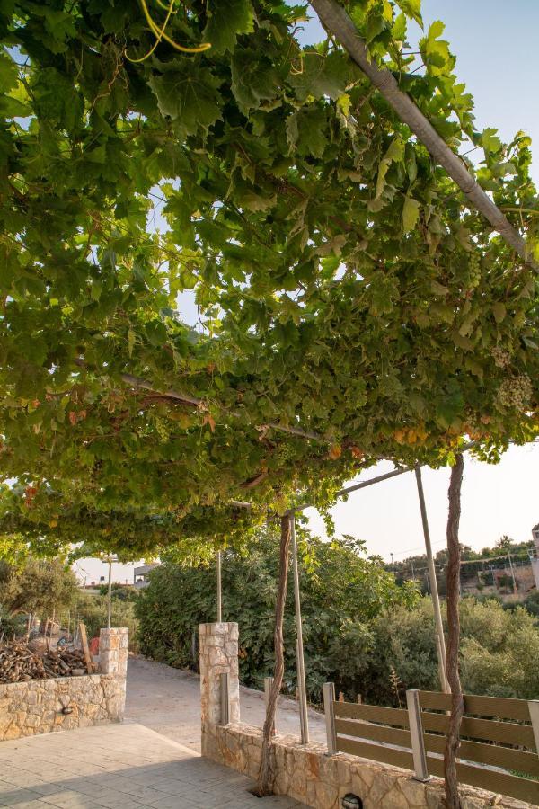 Hello Village Chania Sfakianalion Экстерьер фото